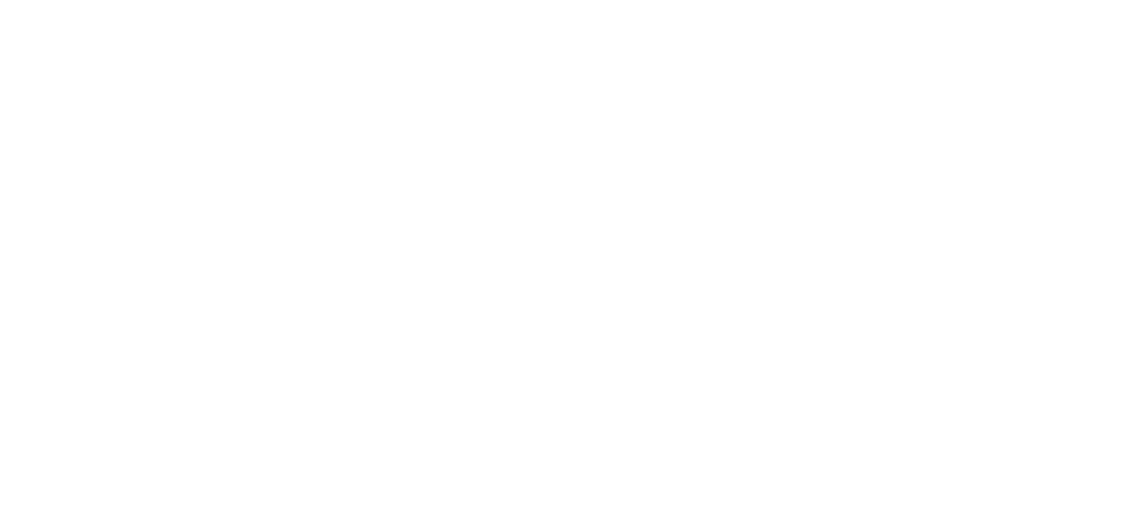 Disability Confident Leader logo
